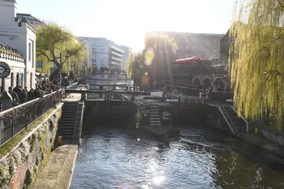 DSC_6847 (Large).JPG